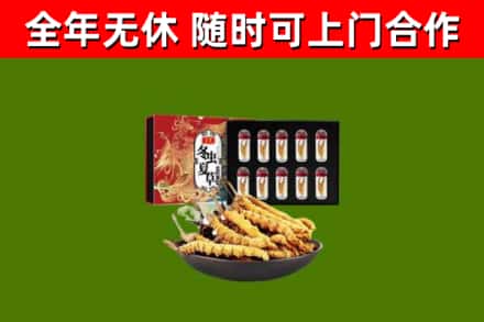 雨山区回收冬虫夏草价格